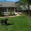 Prox Lawncare gallery