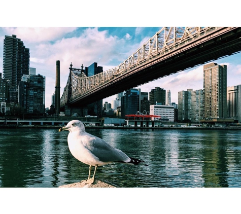 Beauty Salon of Roosevelt Island - New York, NY