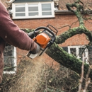 Bayside Tree and Stump Removal - Tree Service