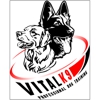 Vital K9 Training & Boarding gallery