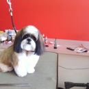 Pampered Pups Pet Grooming - Pet Services