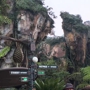 Disney's Animal Kingdom Theme Park