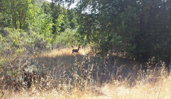 Sugarloaf Ridge State Park - Kenwood, CA