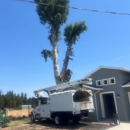 FC Valley Tree Care Inc.