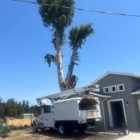 FC Valley Tree Care Inc.