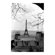 Gallery Image Number 4