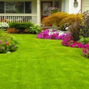 Cesars Services - Landscape Contractors