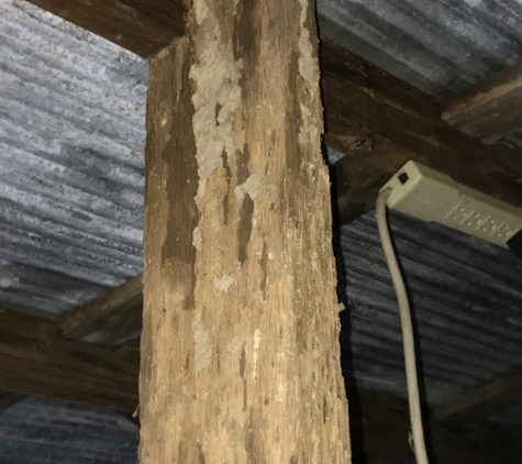 Estells Pest Control Inc - Oreana, IL. Termite damage