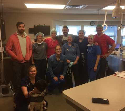 Patton Veterinary Hospital - Red Lion, PA. Patton Veterinary Hospital team helps a local rescue