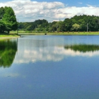 Lakes Ponds and Repairs