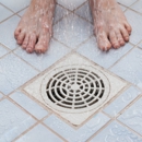 Allaire Chem-Dry - Carpet & Rug Cleaners