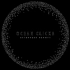 Ocean Clicks Outsourcing pvt Ltd