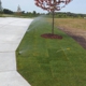 My bucket list lawn sprinklers systems