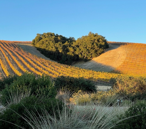 Niner Wine Estates - Paso Robles, CA