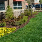 Forrest Lawnscape