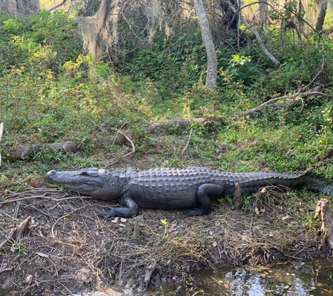 Louisiana Tour Company - Marrero, LA