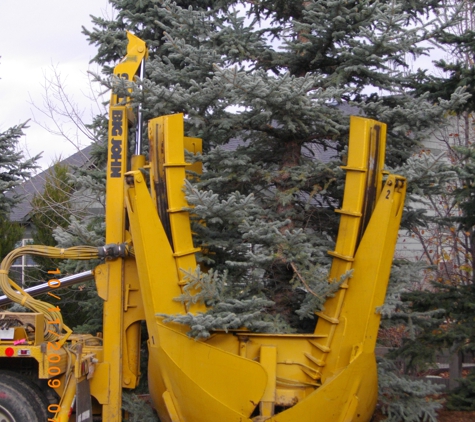 Tree Taxi - Longmont, CO