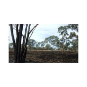 Gallery Image Number 1