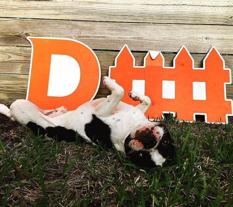 D-Fence Company Florida - Saint Augustine, FL. The puppy is happy!