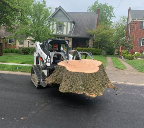 Jaime's Tree Service - Hamilton, OH