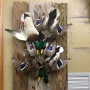 David's Taxidermy - Taxidermists