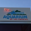 Ripley's Aquarium Of The Smokies gallery
