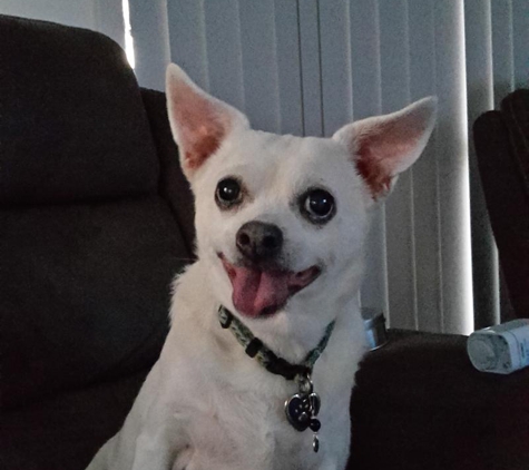 Northside Vet Care - Strathpine, QLD