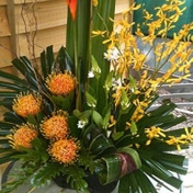 Gallery Image Number 7