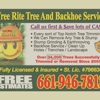 tree rite arborists gallery