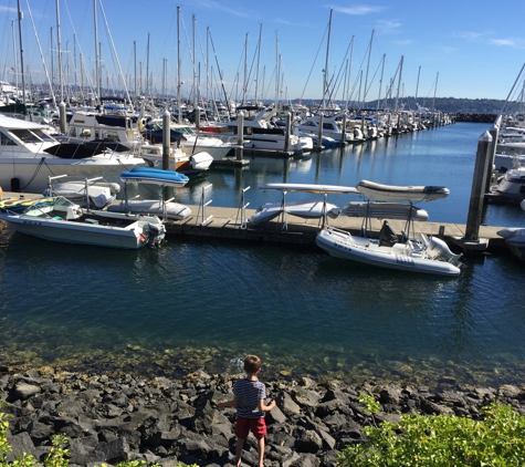 Maggie Bluffs - Seattle, WA