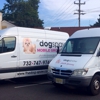The Dog Spaw of Little Silver - Salon & Mobile Grooming gallery