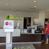 Direct Orthopedic Care gallery