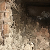 Gallery Image Number 5