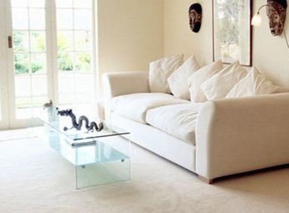 Summit Carpet & Upholstery Cleaning - Land O Lakes, FL