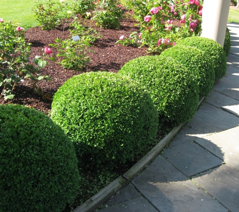 Stacy Lawn & Landscape - Milford, NH. Shrub Trimming In Amherst and Milford NH