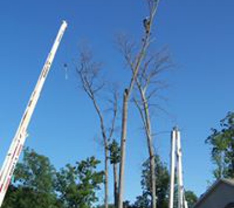 Quinlan Tree Service - Milford, MI. Tree Pruning and Removal