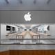 Apple Holyoke