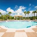 Lakewood Pointe Apartments - Apartments
