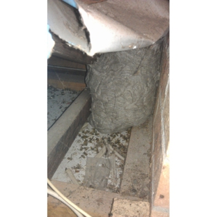 Dr Maks Pest Control - Macgregor, ACT