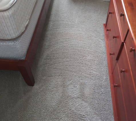 USA Carpet Care & Dye - St. Clair Shores, MI