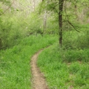 River N Lakes Rv Park - Campgrounds & Recreational Vehicle Parks