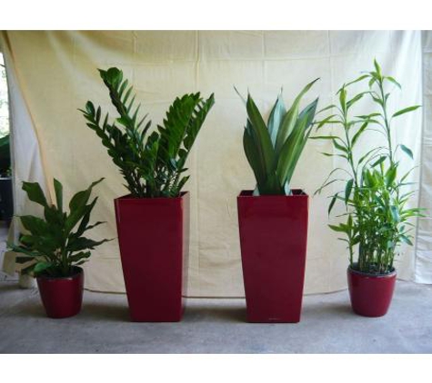 Quality Indoor Plants Hire - Girraween, NT