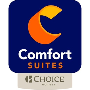 Comfort Suites - Stevensville, MI