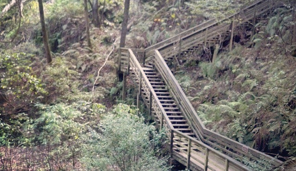 Devil's Millhopper Geological State Park - Gainesville, FL