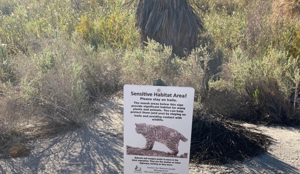 Coachella Valley National Wildlife - Thousand Palms, CA