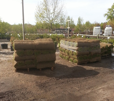 Fossil Creek Nursery - Fort Collins, CO