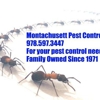Montachusett Pest Control