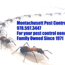 Montachusett Pest Control - Bee Control & Removal Service