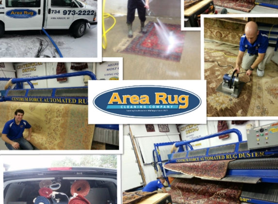 Area Rug Cleaning Company - Wayne, MI