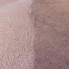 Enviroclean Carpet Care